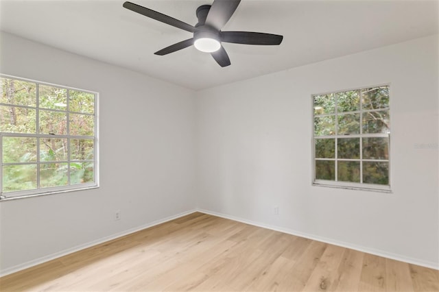 spare room featuring a wealth of natural light, ceiling fan, and light wood-type flooring