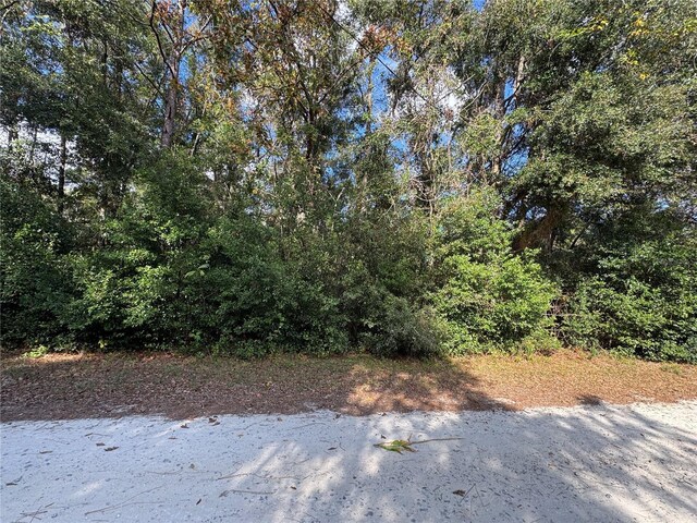 4810-4814 E Doeskin Loop, Inverness FL, 34453 land for sale