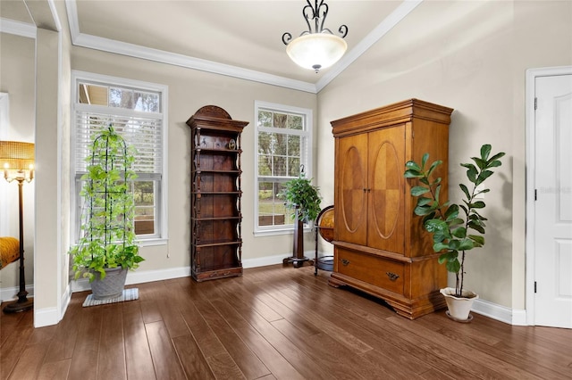 miscellaneous room with a wealth of natural light, crown molding, and dark hardwood / wood-style floors