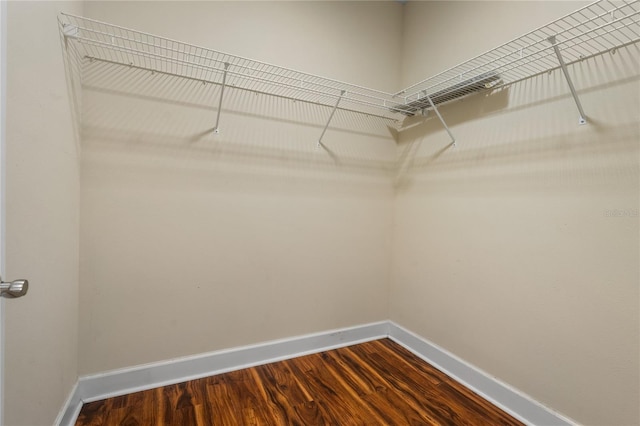 spacious closet featuring wood-type flooring