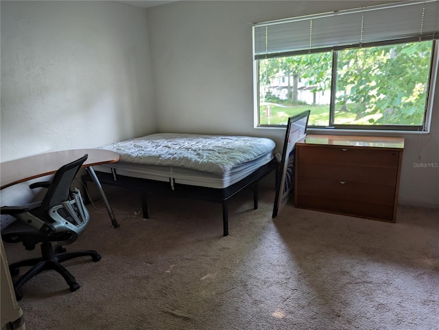 bedroom featuring light colored carpet