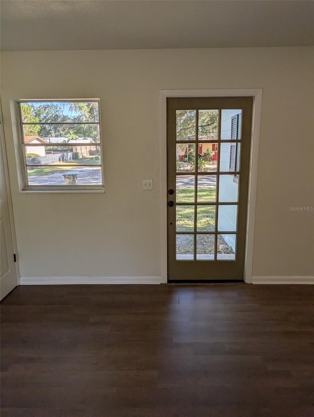 doorway featuring dark hardwood / wood-style flooring and a healthy amount of sunlight