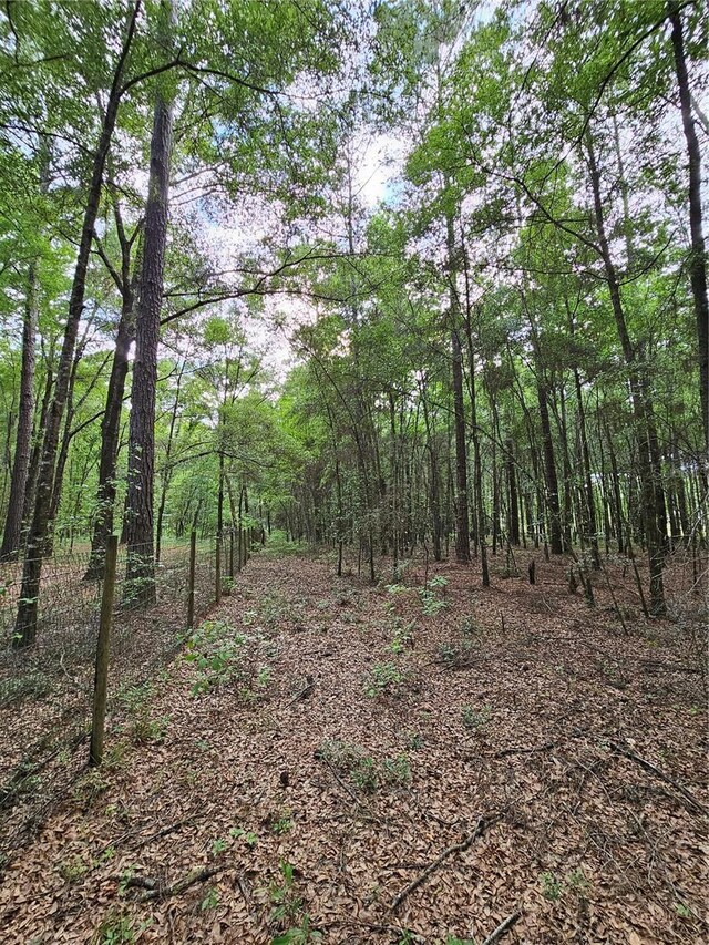 view of local wilderness