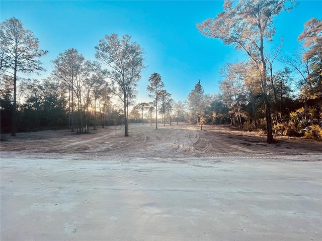 000 NE 90th Ave, Bronson FL, 32621 land for sale