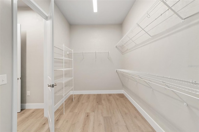 spacious closet with hardwood / wood-style flooring