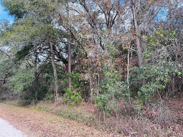 16151 NW 80th Ct, Fanning Springs, FL 32693 - photo 5