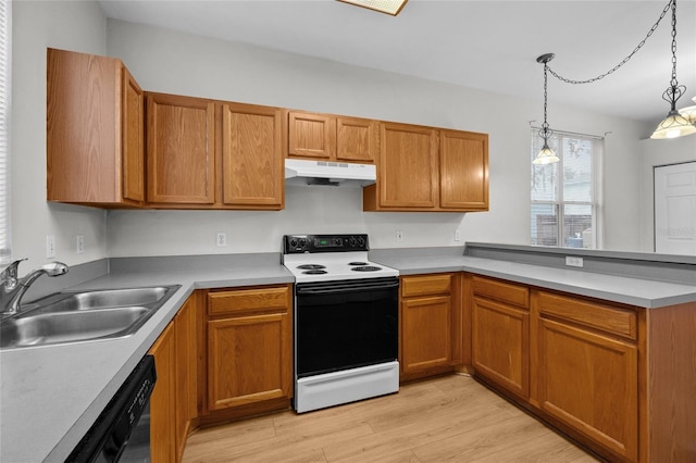 kitchen with sink, light hardwood / wood-style flooring, white electric range, black dishwasher, and hanging light fixtures