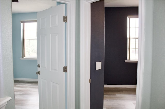 hall featuring a wealth of natural light and light wood-type flooring