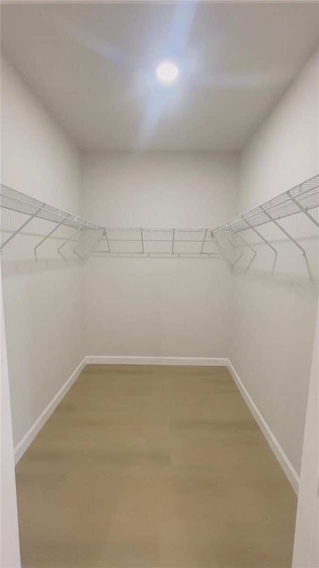 spacious closet with wood-type flooring