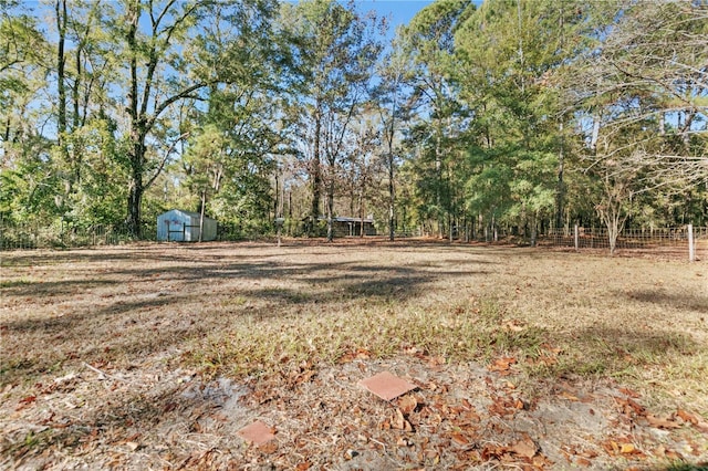 view of yard with a storage shed