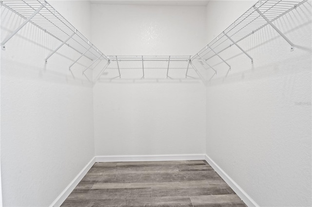 spacious closet featuring hardwood / wood-style flooring