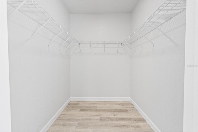 walk in closet featuring wood-type flooring