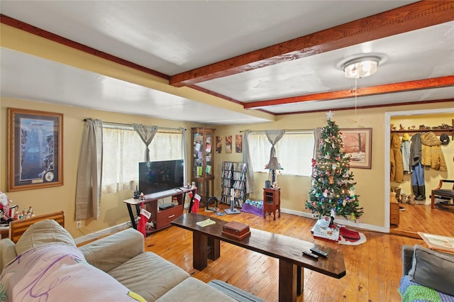 living room with beam ceiling, light hardwood / wood-style flooring, and a wealth of natural light