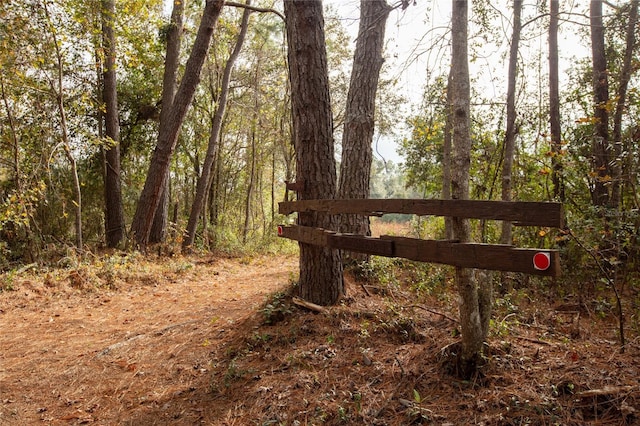 view of local wilderness