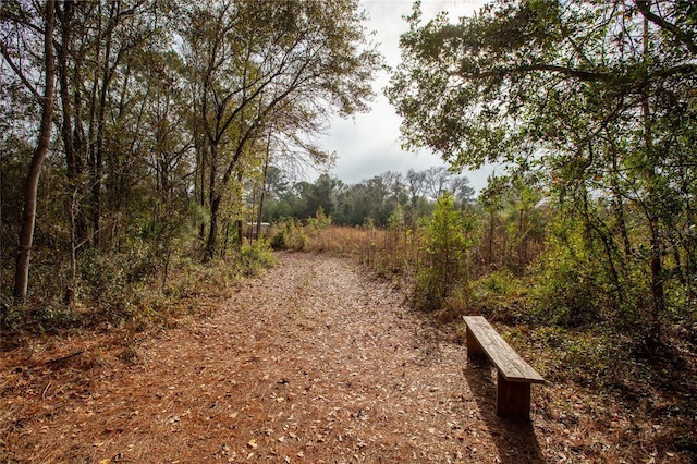 view of road