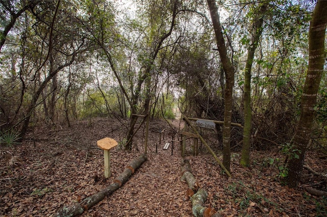 view of local wilderness