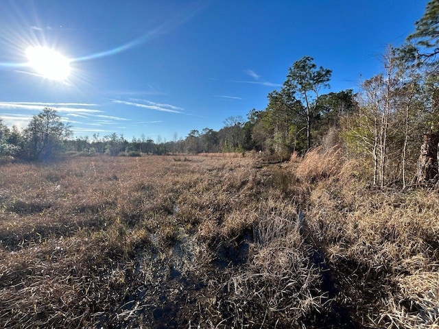 view of local wilderness featuring a rural view