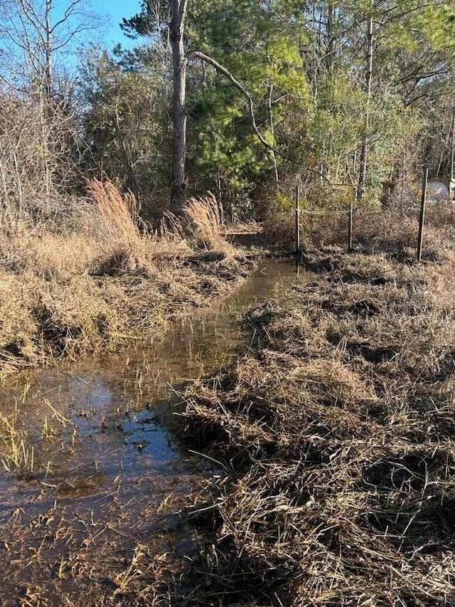 view of local wilderness