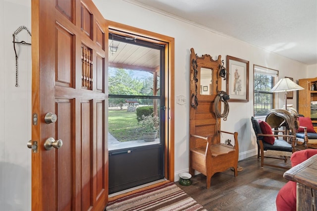 entrance foyer featuring a wealth of natural light, dark wood-type flooring, and a textured ceiling