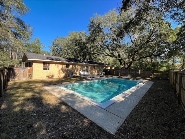 view of swimming pool with a diving board