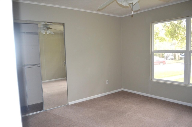 unfurnished bedroom featuring ceiling fan, a closet, carpet floors, and crown molding