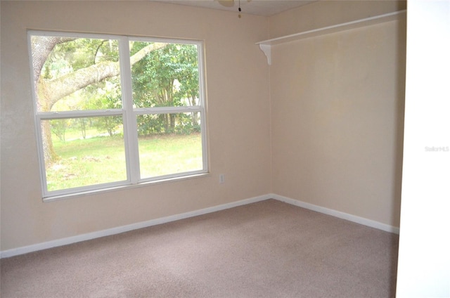 empty room featuring carpet