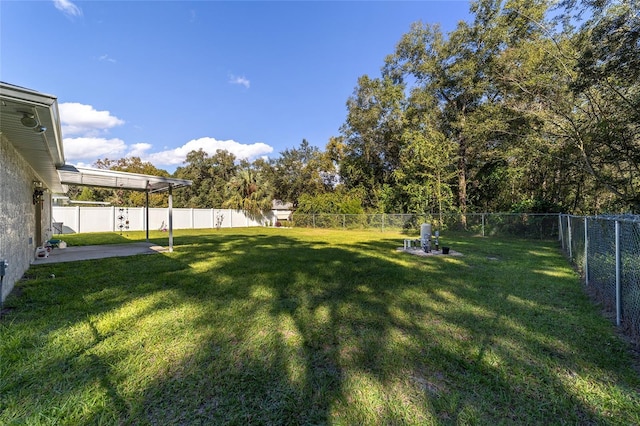 view of yard featuring a patio area