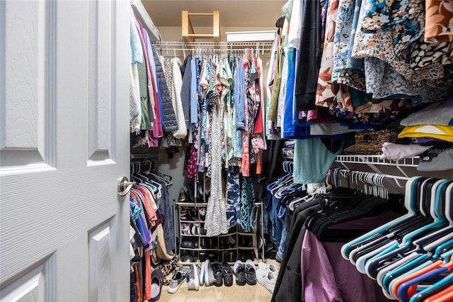 spacious closet featuring carpet flooring