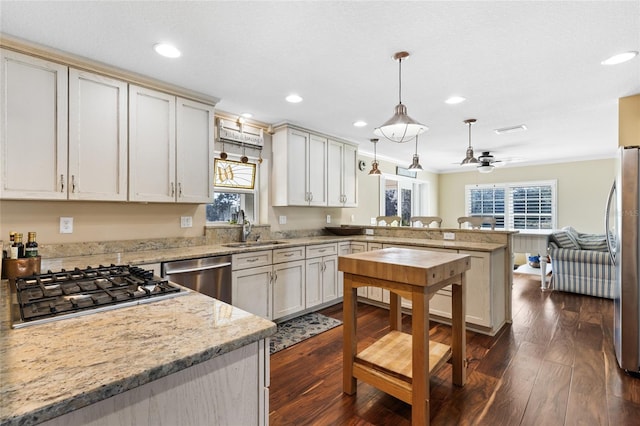 kitchen with sink, hanging light fixtures, dark hardwood / wood-style flooring, kitchen peninsula, and stainless steel appliances