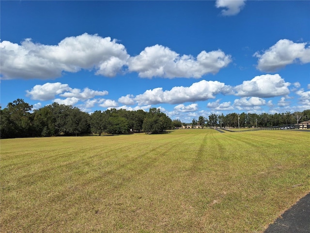 view of yard featuring a rural view