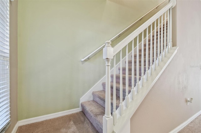 stairs featuring carpet flooring