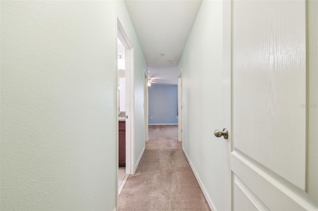 hallway with light carpet