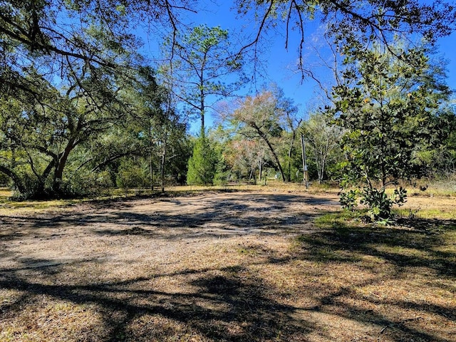 10751 NE 102nd Pl, Archer FL, 32618 land for sale