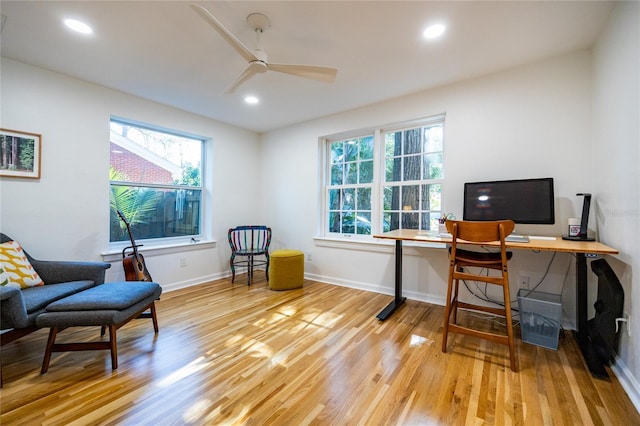 office featuring ceiling fan and light wood-type flooring