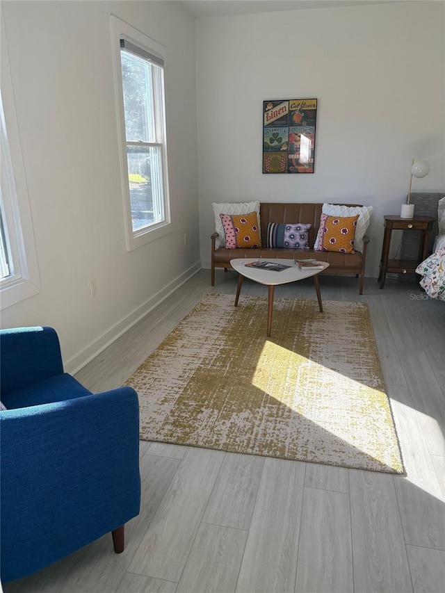 living area featuring light wood-type flooring