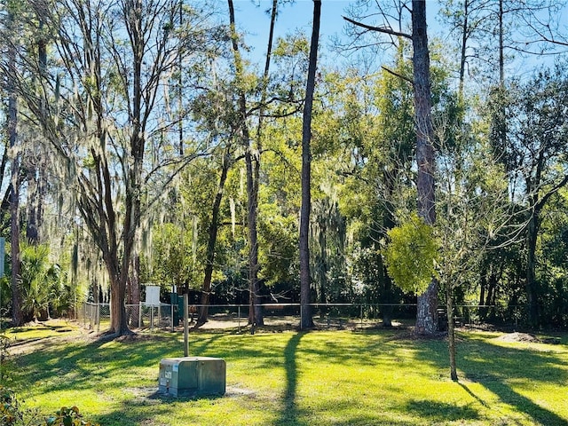 view of home's community with a yard