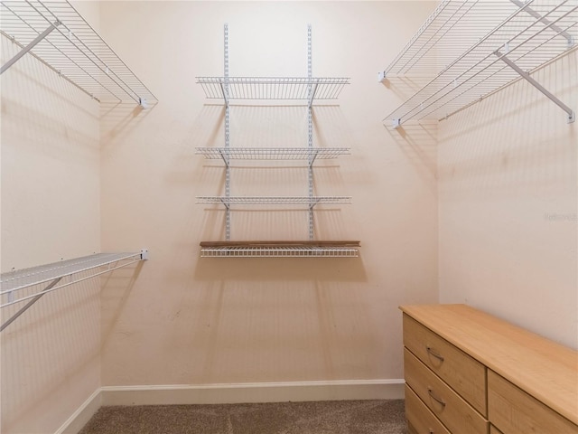 spacious closet with carpet