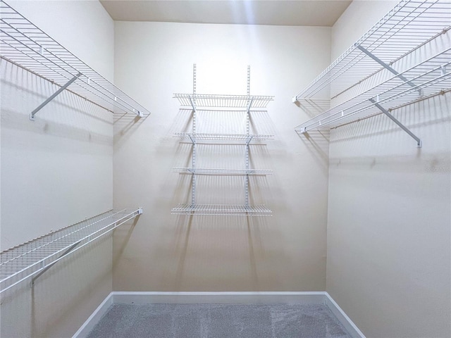 8305 SW 16th Pl, Gainesville, FL 32607 - walk in closet with carpet