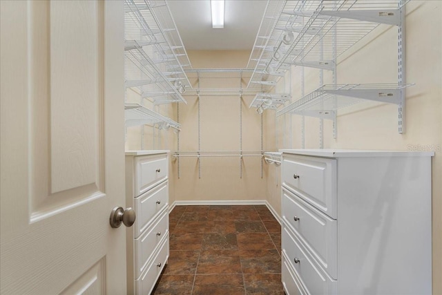 13554 NW 7th Rd, Newberry, FL 32669 - spacious closet featuring dark stone finish flooring