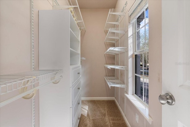 13554 NW 7th Rd, Newberry, FL 32669 - spacious closet with carpet floors