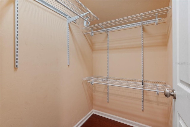 13554 NW 7th Rd, Newberry, FL 32669 - spacious closet with wood finished floors