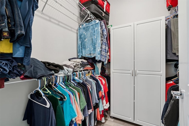 view of walk in closet