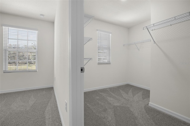 4983 SW 51st Dr, Gainesville, FL 32608 - photo 27