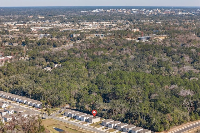 bird's eye view