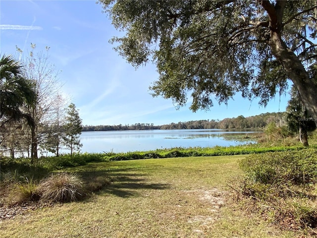 view of yard with a water view