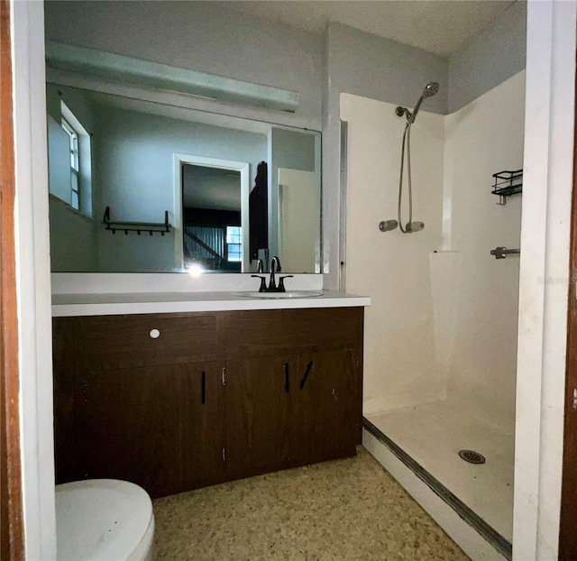 bathroom featuring a shower, vanity, and toilet