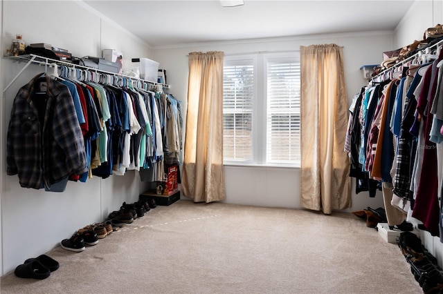 spacious closet with carpet flooring