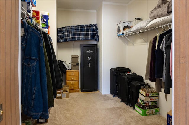 spacious closet featuring carpet flooring