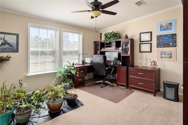 carpeted office space with ceiling fan and crown molding