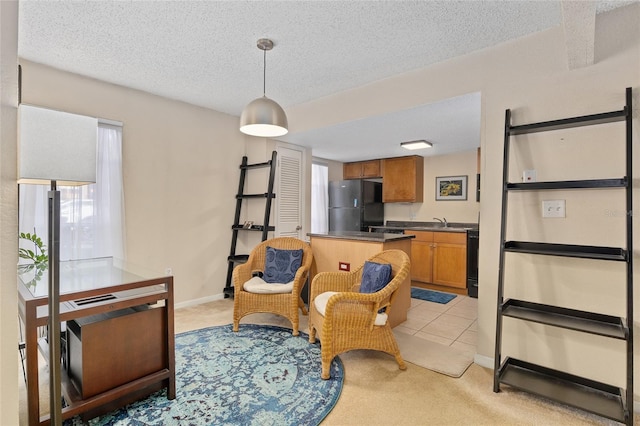 interior space with sink and a textured ceiling